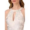 Adrianna Papell Womens Halter Foil Mesh Gown(Ivory/Silver)