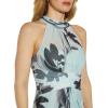 Adrianna Papell Womens Printed Chiffon Halter Gown(Mint Multi)