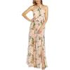 Adrianna Papell Womens Floral Printed Organza Gown(Blush Multi)