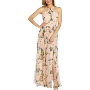 Adrianna Papell Womens Floral Printed Organza Gown(Blush Multi)