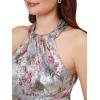Adrianna Papell Women’s Foiled Mesh Draped Gown(Silver Multi)