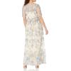 Adrianna Papell Women’s Long Illusion Emb Mesh Gown(Thundercloud/Gold)