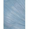 Adrianna Papell Women’s Metallic Mesh Draped Gown(Belize Blue)