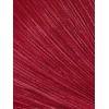 Adrianna Papell Women’s Metallic Mesh Draped Gown(Scarlet)