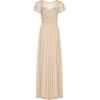 Adrianna Papell Women’s 3D Beaded Point D’esprit Gown(Biscotti)