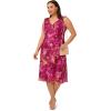 Adrianna Papell Women’s Plus Size Ruffle Neckline BIAS Dress, Raspberry Multi