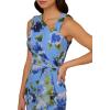 Adrianna Papell Women’s Printed Chiffon Gown(Blue Multi)