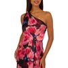 Adrianna Papell One Shoulder Chiffon Gown(Black/Berry)