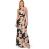 Adrianna Papell One Shoulder Chiffon Gown(Black/Blush Multi)