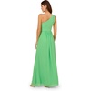 Adrianna Papell One Shoulder Chiffon Gown(Wild Apple)